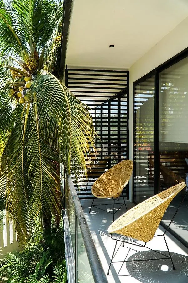 Azure Luxury Apartments Bacalar 0*,